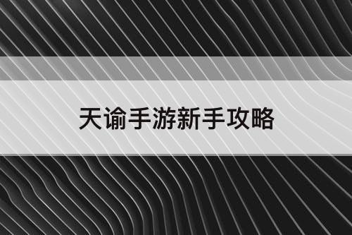 天谕手游新手攻略