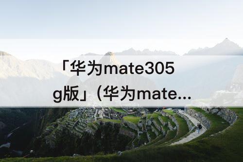 「华为mate305g版」(华为mate305g版本参数)